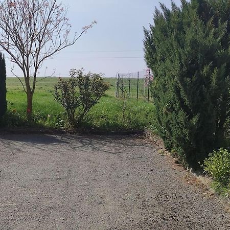 Gîte la Metairie, au calme à la campagne Saint-Seurin-de-Palenne Esterno foto